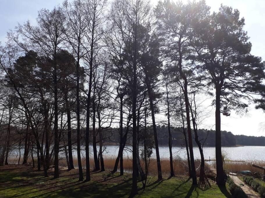 Penthouse Bernd Im Waldschloesschen Direkt Am See Wendisch Rietz Buitenkant foto