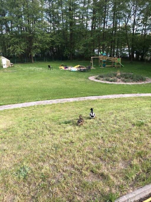 Penthouse Bernd Im Waldschloesschen Direkt Am See Wendisch Rietz Buitenkant foto